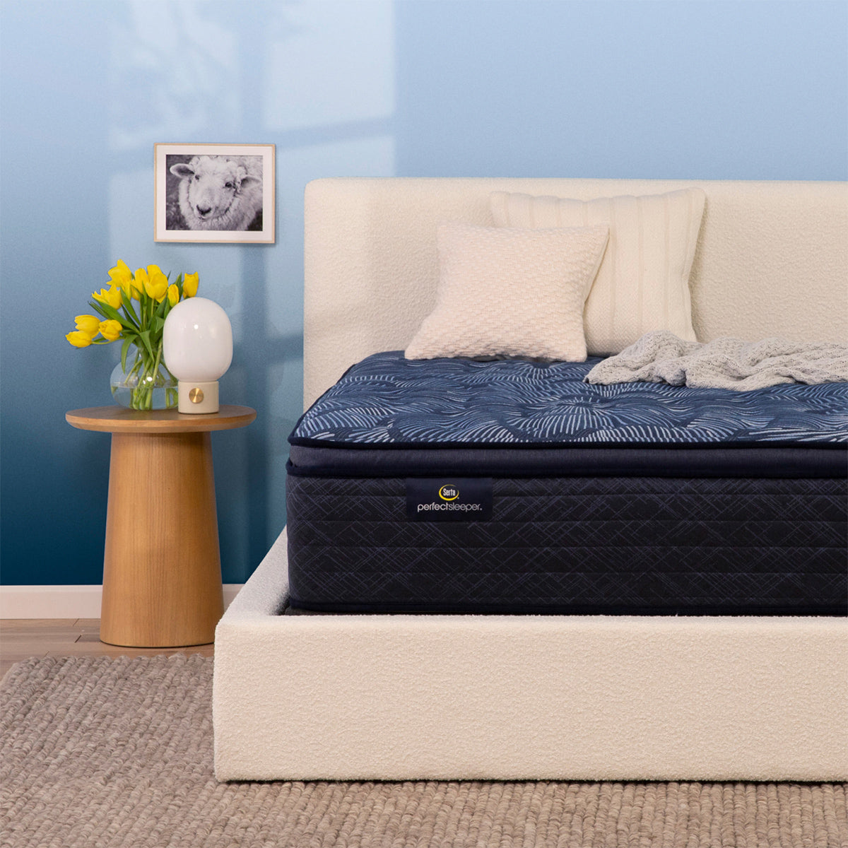 Serta Perfect Sleeper® Oasis Sleep 14.5" Medium Pillow Top Mattress