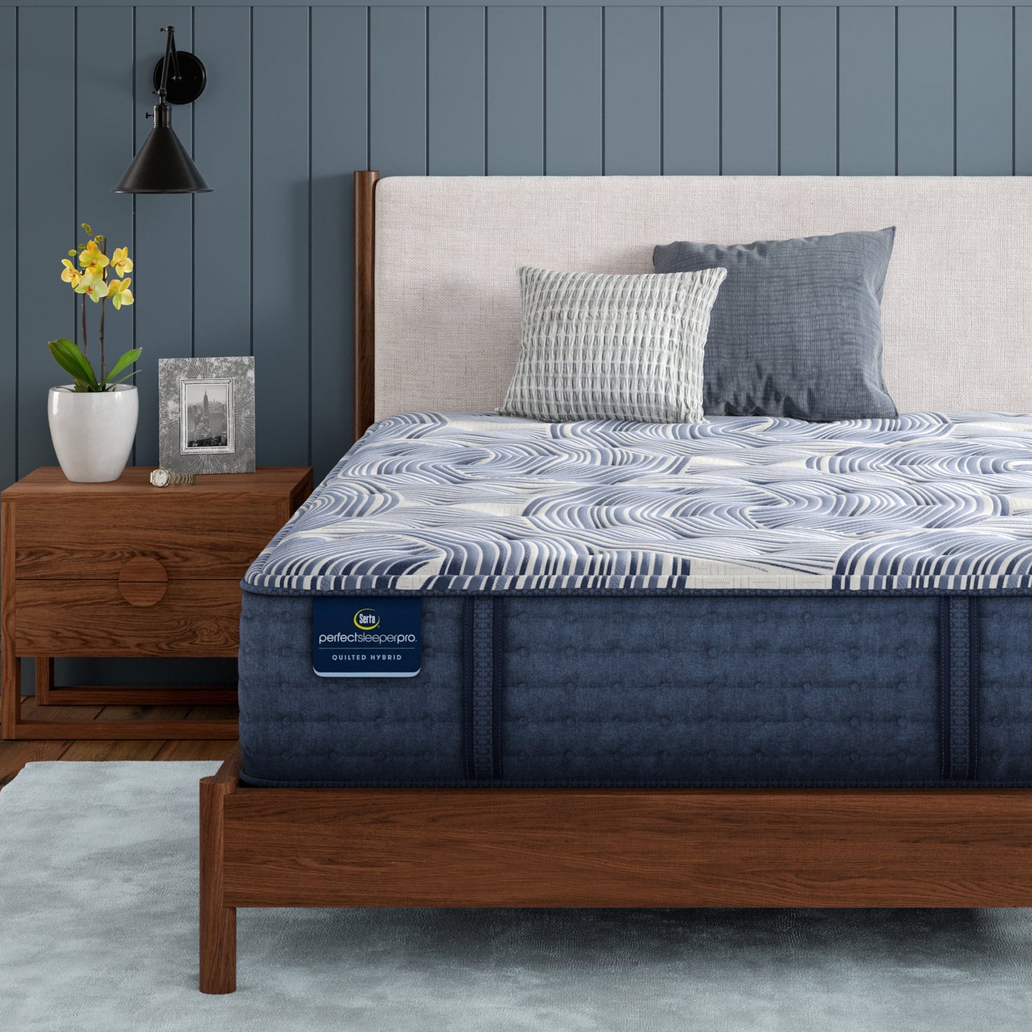 Serta Perfect Sleeper Pro Dublin 13.75" Medium Firm Mattress