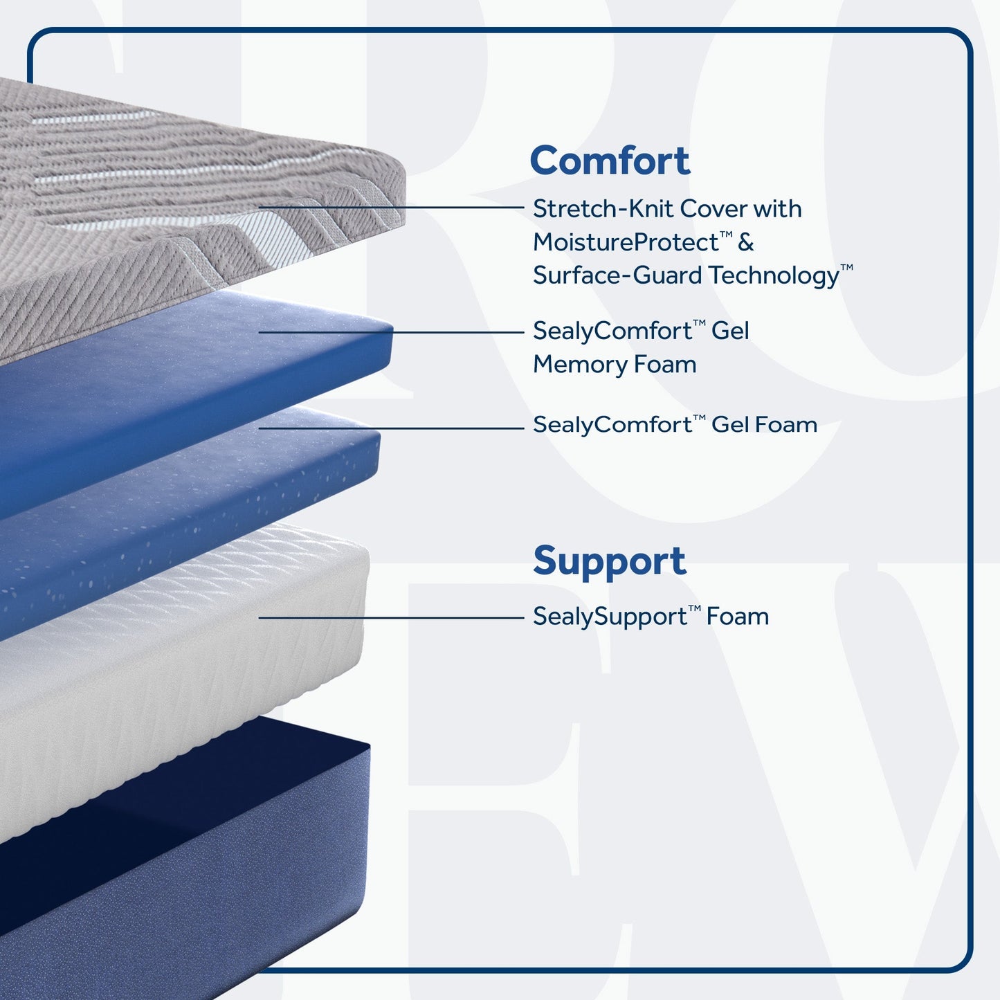 Sixth & Park Medium Foam 12" Mattress