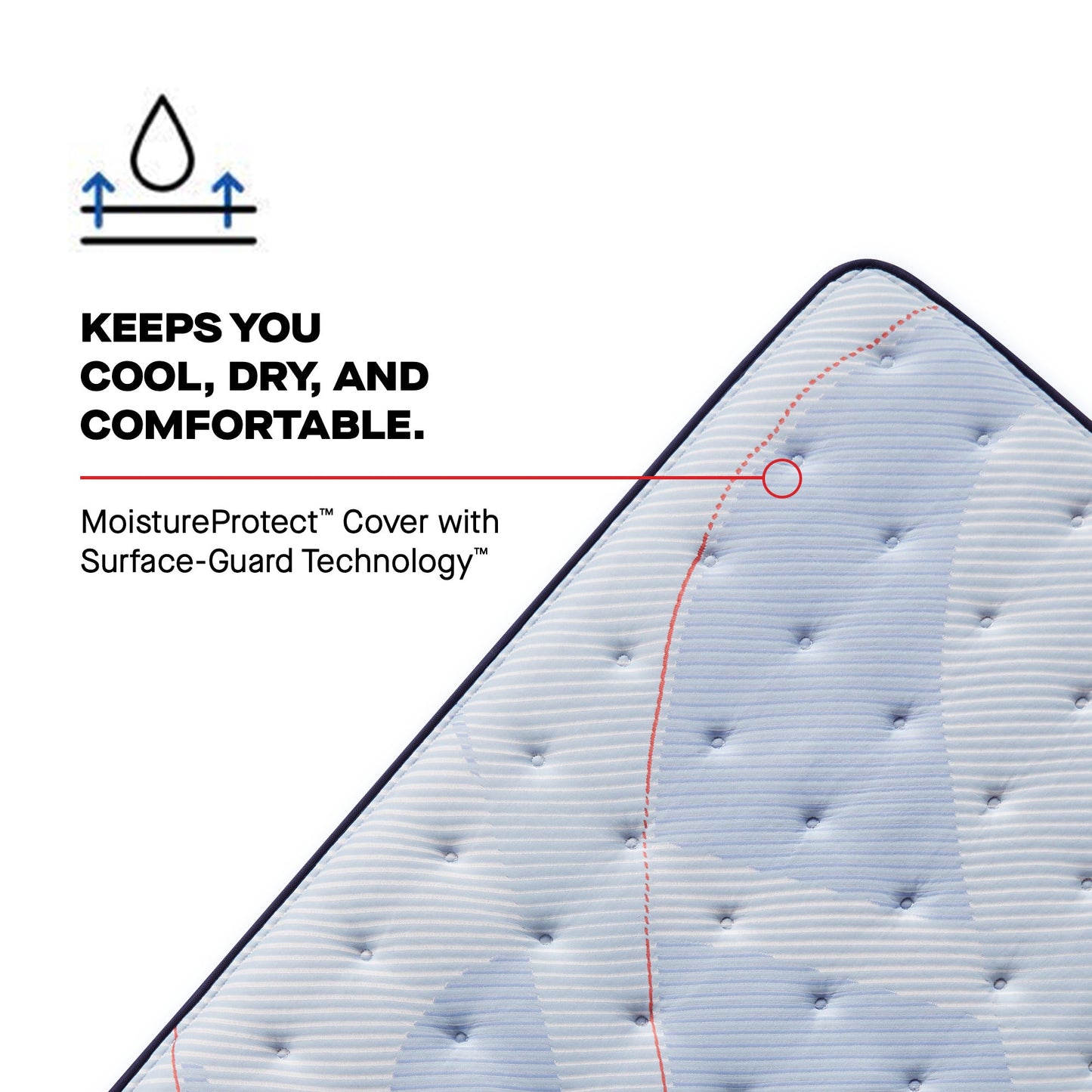 Sealy Posturepedic Plus Spring Paterson II 14" Medium Tight Top Mattress