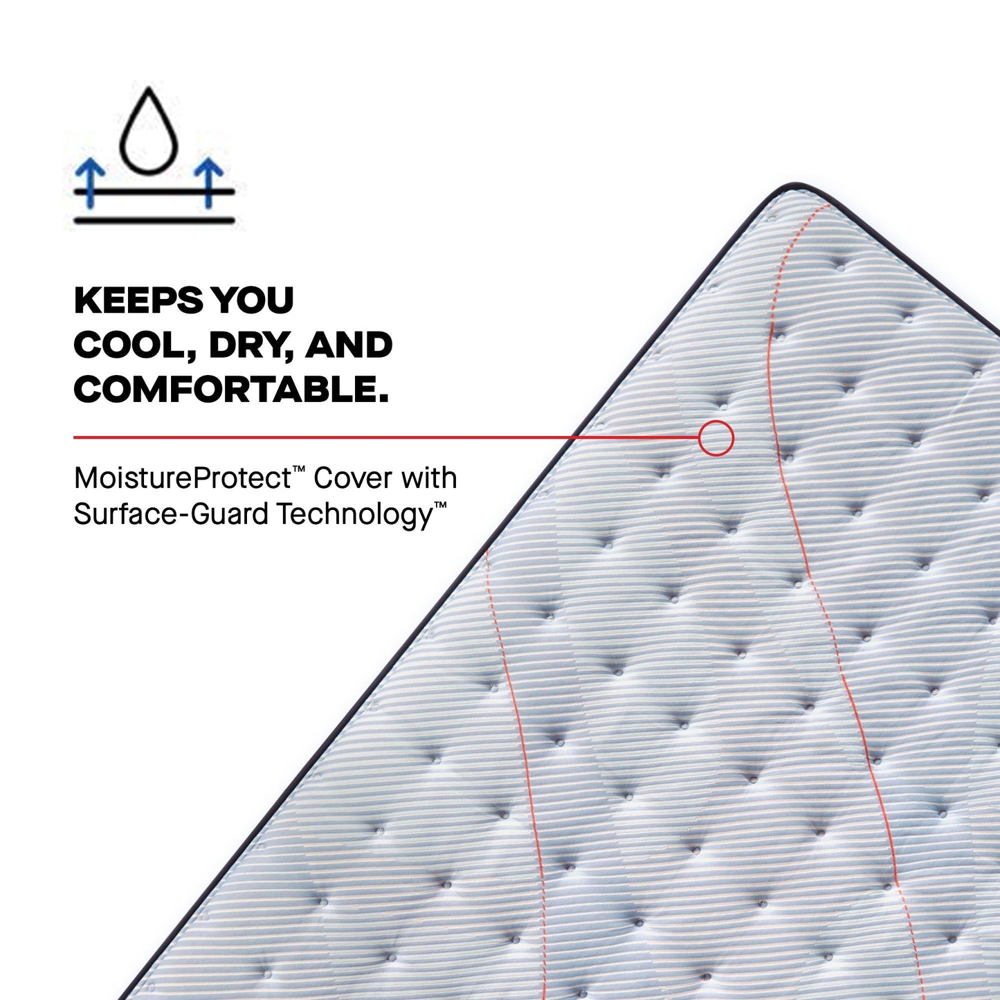 Sealy Posturepedic Spring Medina II 13" Firm Tight Top Mattress