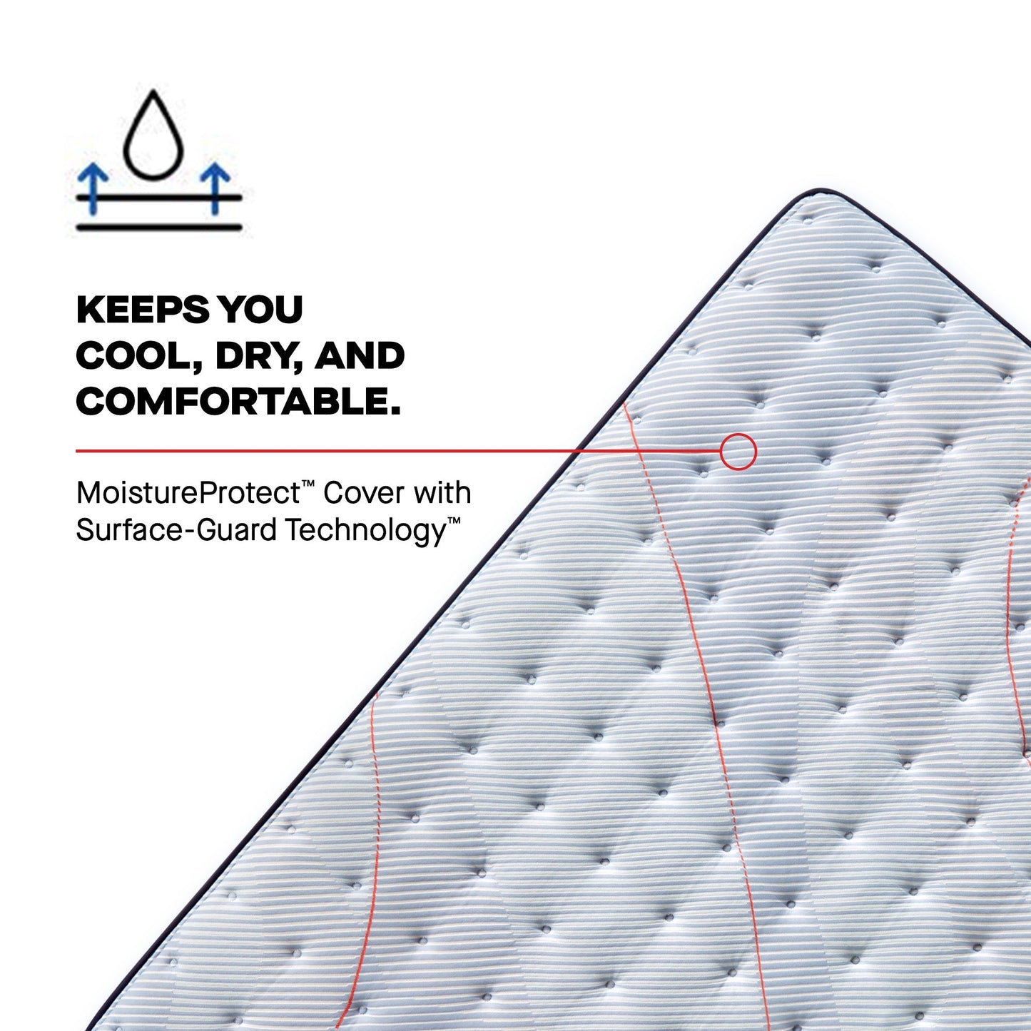 Sealy Posturepedic Spring Medina II 14" Medium Euro Pillowtop Mattress