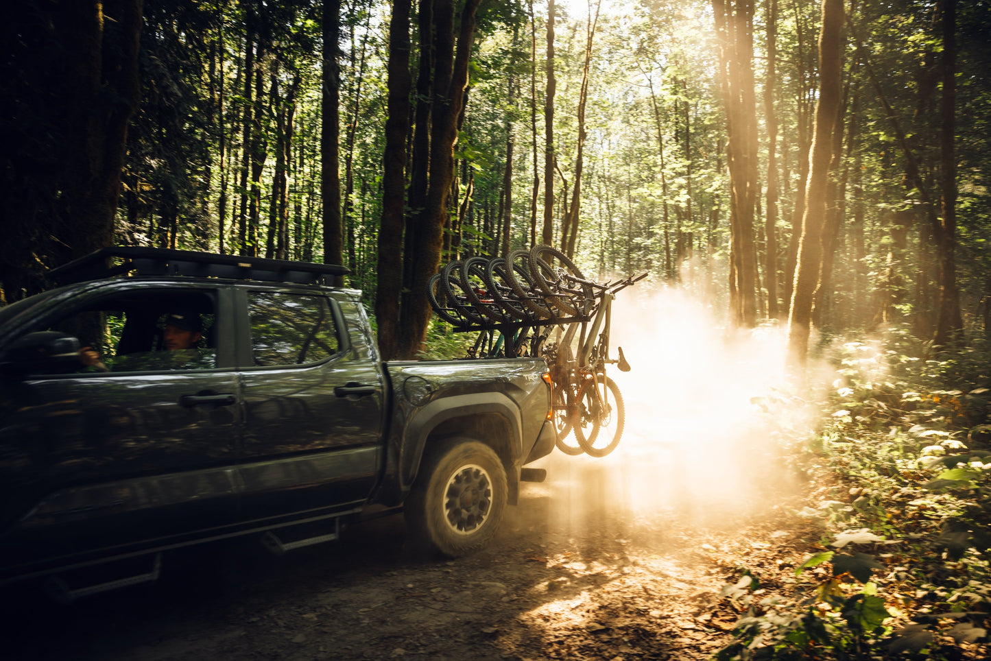 ReVert Hitch-Mount Platform Bike Racks