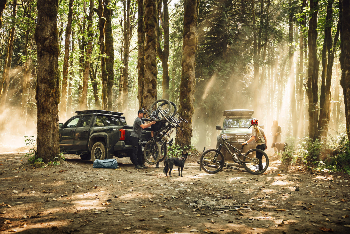 ReVert Hitch-Mount Platform Bike Racks